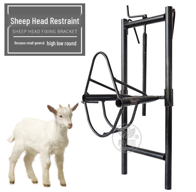 Adjustable Sheep Holding Rack for Shearing, Injection & Milking