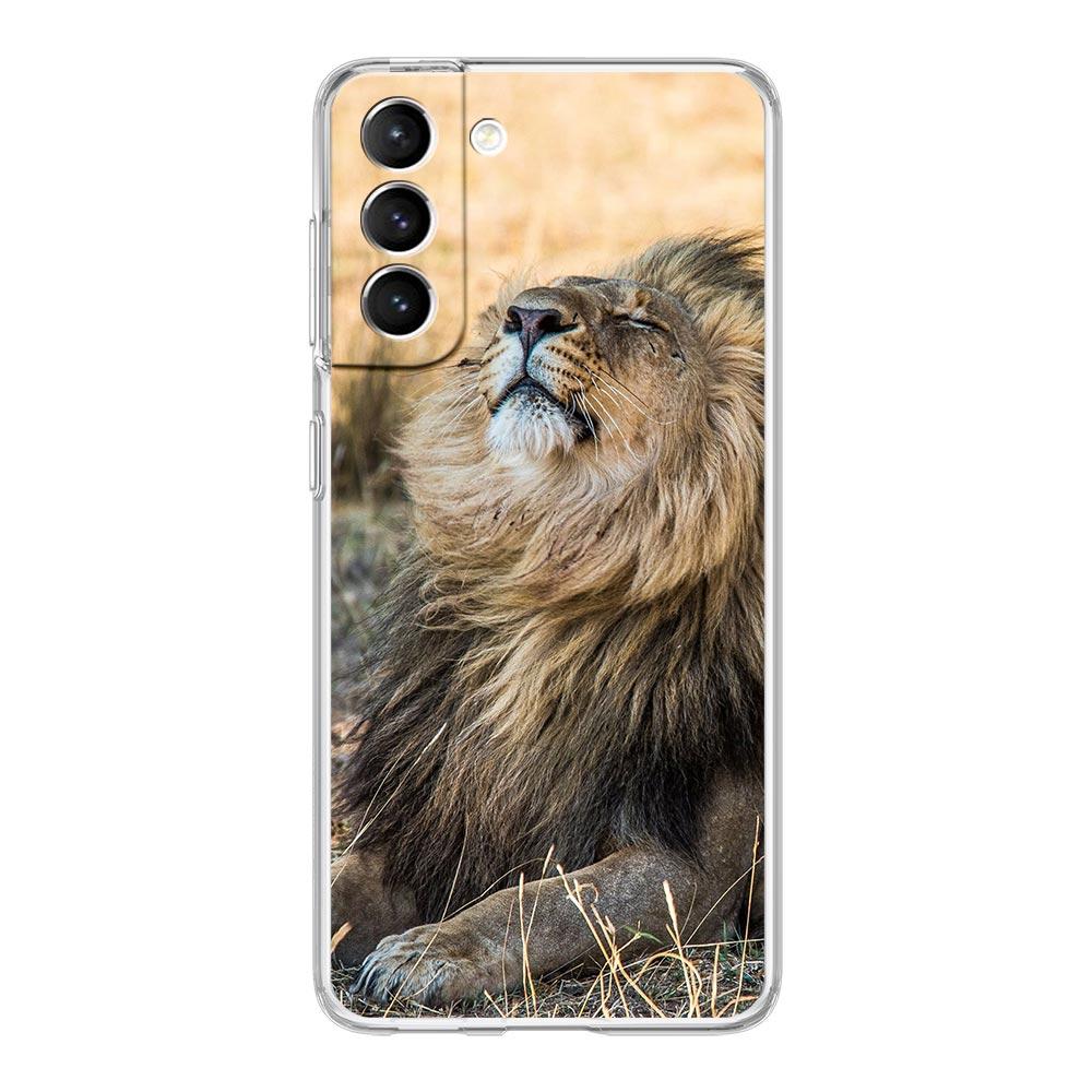Phone Case For Samsung Galaxy S25 S24 S23 FE S22 Ultra S20 S21 5G S10 S9 Plus S10E S8 Soft Clear Cover Lion Alpha Male Cub
