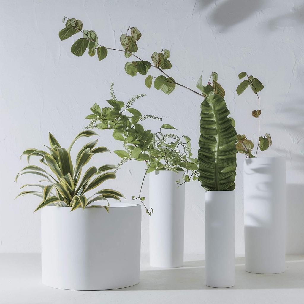 TAMAKI Vază de flori Alb 6 x 19 cm AYA T-910498