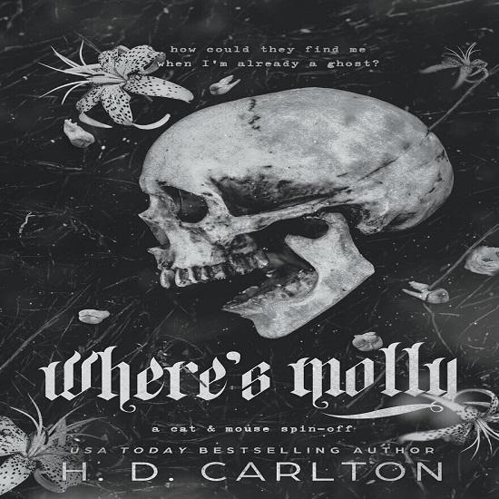 Where's Molly How Could They Find Paperback