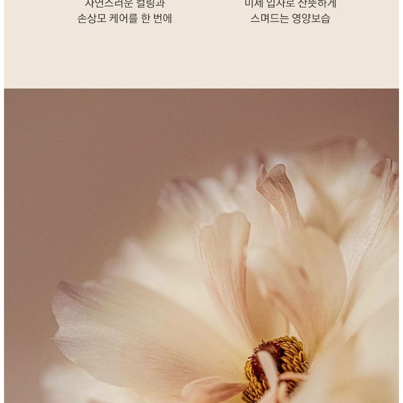 Nard Damage RX Intensive Treatment