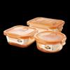 VISIONS Corning EKCO Amber Glass Food Storage 3-Piece Set