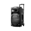 12-Zoll Tragbarer Bluetooth Karaoke-Lautsprecher mit Mikrofon
