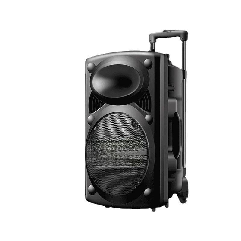 12-Zoll Tragbarer Bluetooth Karaoke-Lautsprecher mit Mikrofon
