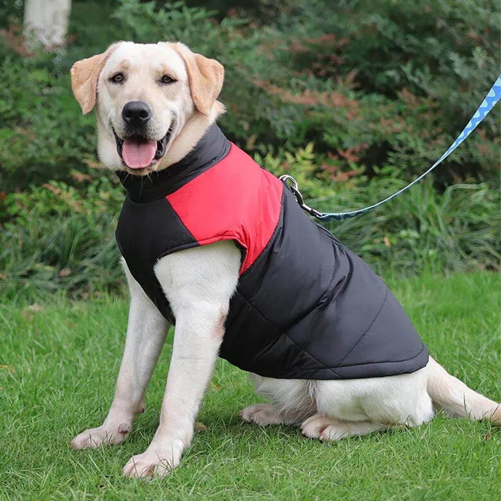 Gilet Caldo per Animali Domestici Cani Grandi Cappotti da Sci per Cuccioli Imbottito Invernale Caldo Vestiti per Cani Gilet per Animali Domestici Giacca con Cerniera