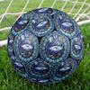 Marine Life Glass Round Football Size 5 Adult Ball Suitable for Training Matches and Outdoor Team.
