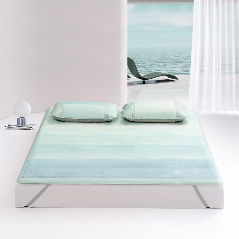 Mercury Home Textiles DH Beauty Creek Bank Printed Ice Silk Bed Mat