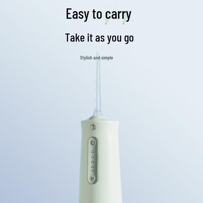 LocknLock Portable Electric Water Flosser CN plug (adapter included)