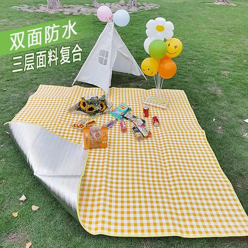 Thickened Outdoor Camping and Picnic Moisture-Proof Ground Mat - Free Shipping