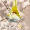 Broom & Dustpan Set Hoki Broom Dustpan Set Entrance Broom Cleaning Tools Cleaning Sweeping Cleaning Goods Entrance Balcony Simple Design Cleaning Set