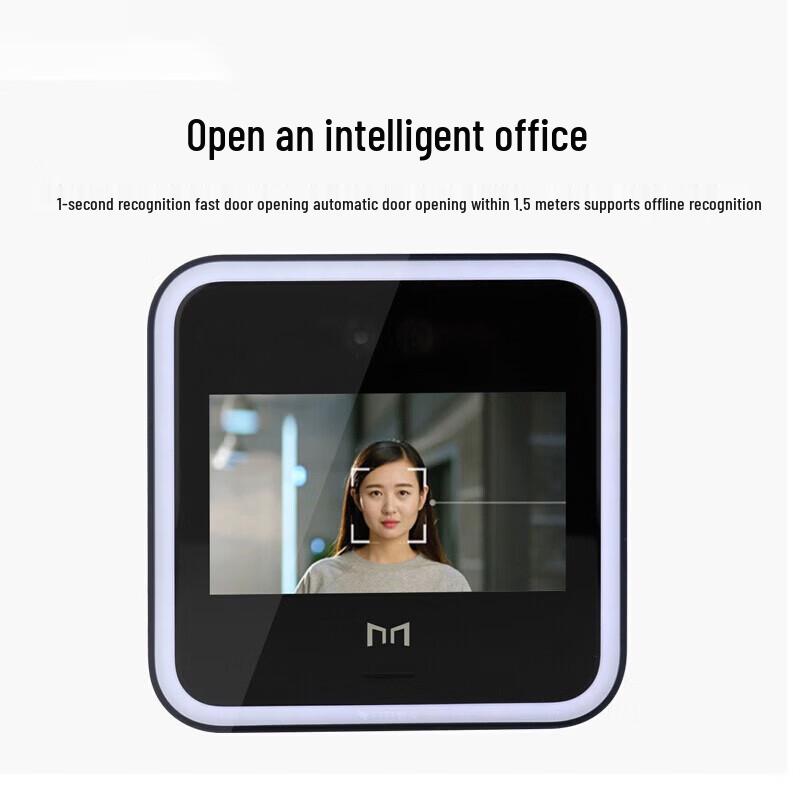 DingTalk D2 Smart Facial Recognition Access Control System CN plug (adapter included)