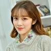 All-match Detachable Fake Shirt Collar Lapel Color Embroidered Women Fake Blouse Collar False Collar Button Shirt Clothing