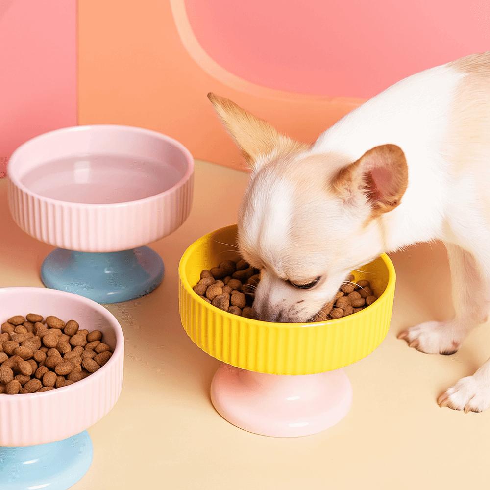 Cute Pet High Footed Cup Bowl Dopamine Color Pet Drinking Feeder Dog Food Feeding Basin Puppy