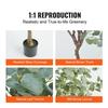 Artificial Eucalyptus Tree, 1.8 m Tall Faux Plant, Secure PE Material & Anti-Tip Tilt Protection Low-Maintenance Plant, Lifelike Green Fake Potted