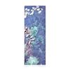 SUM37 Water-full Refreshing 2-piece Set (toner 170ml + Emulsion 120ml)