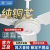 Diamond Brand Ceiling Fan For Home Living Room Iron Leaf Dormitory Industrial Hanging Electric Fan Dining Room Sound Light Strong Wind 4856-Inch