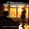 A Womans Revenge by David S. Ainsworth Paperback Book 9781037103957