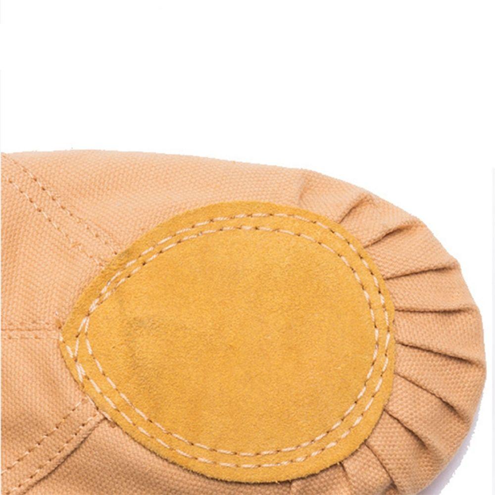 Ballet Dance Latin Dance Leather Canvas Girls Ballet Shoes Gils Shoes Flats Shoes Dance Shoes