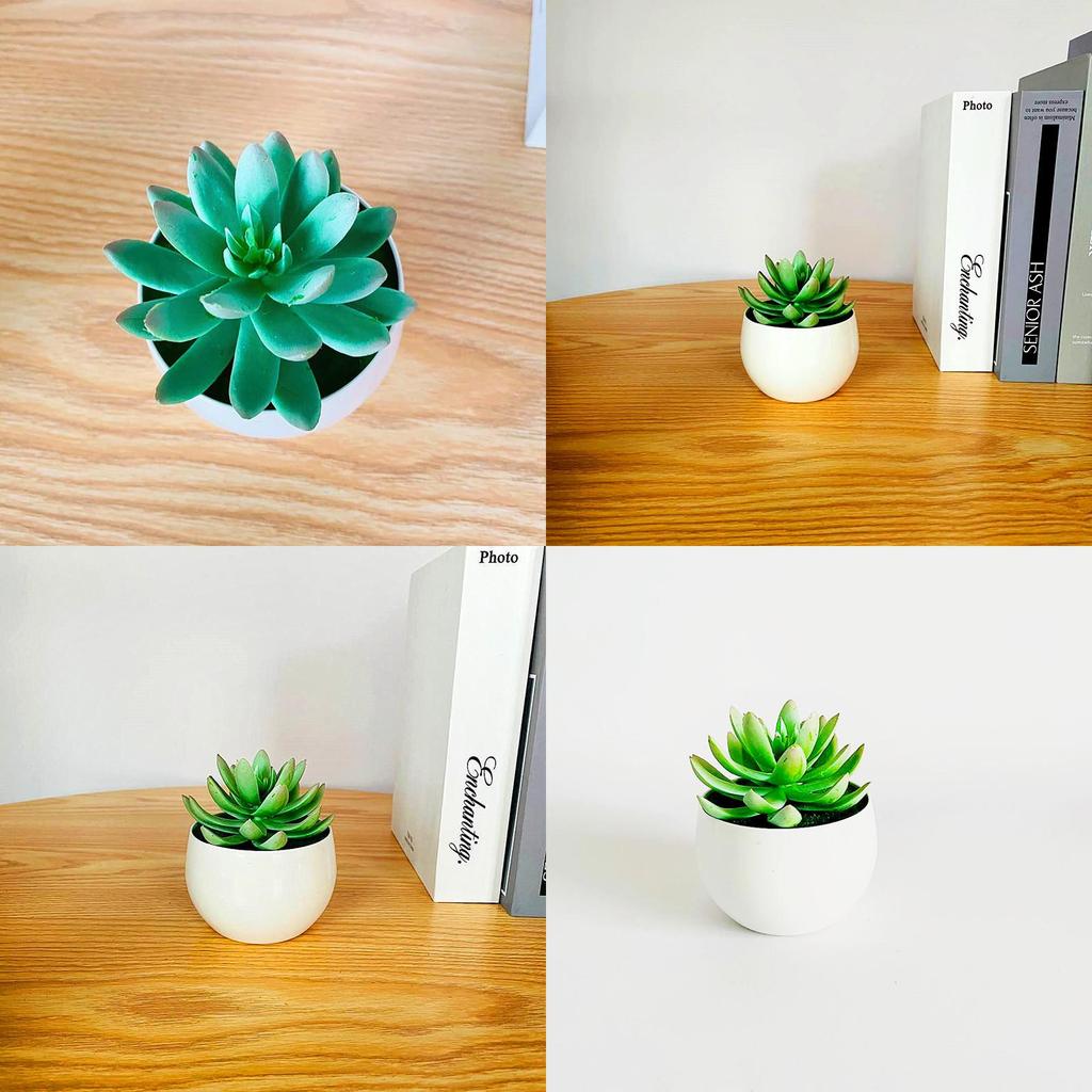 Simulated Succulent Bonsai Pot With Lightweight Pvc For Home Office Interior Design