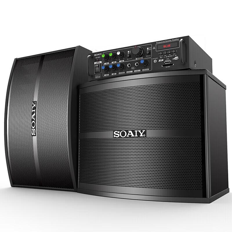 Soaiy CK-M66 Professional Home KTV & Theater System