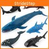 Ocean Children Wildlife Sharks Blue Whales Dolphins Model Kids Decoration Gift