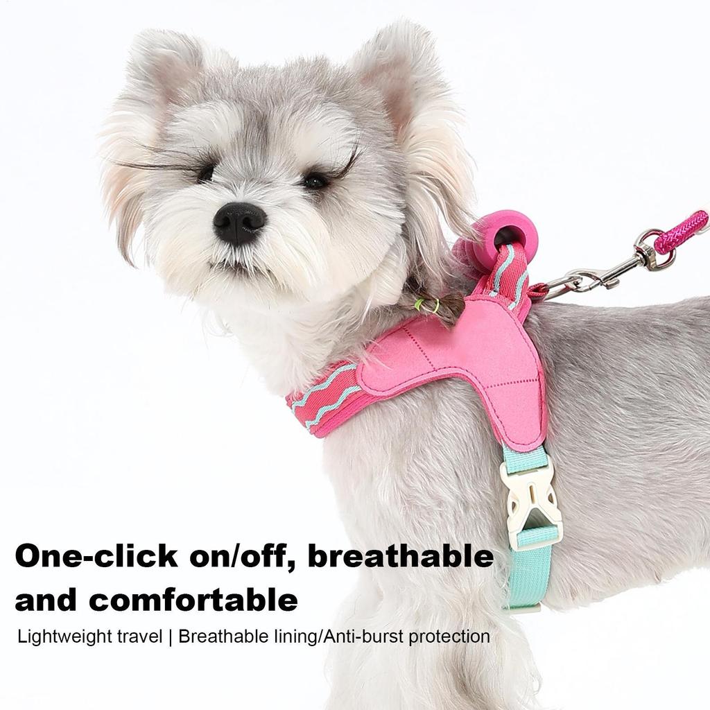 Adjustable Dog Harness Breathable Dog Harness And Leashes Set Pet Chest Strap Pet Supplies Dog Accessories For Small Dogs