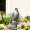 Sturdy Artificial Eagle Statue Lifelike Birds Decoy Hawk Simulation Animal Eagle Repellents Garden