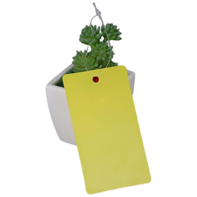 LijiuHong PVC Waterproof Identification Tags