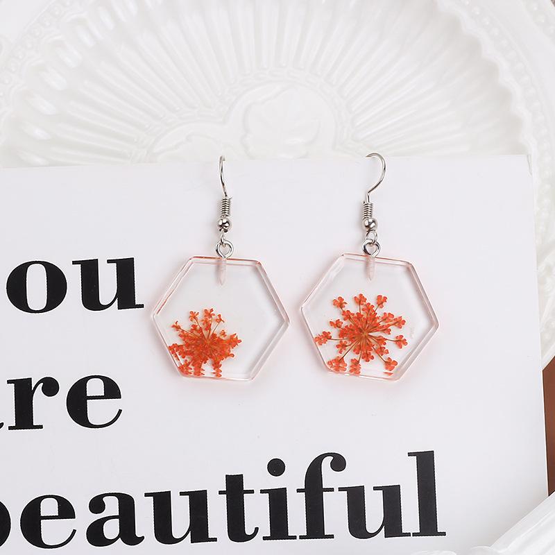 Dongdaemun Dried Flower Transparent Acrylic Geometric Resin Earrings Temperament Personalized Stud Earrings Earrings