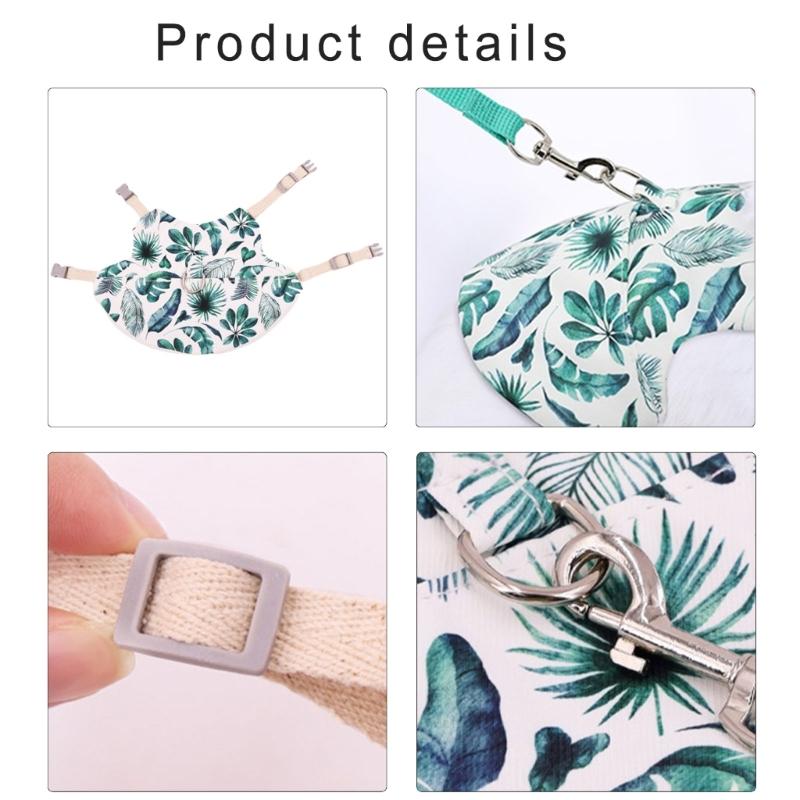 Set Pettorina e Guinzaglio per Animali Piccoli con Trazione Pettorina Regolabile Conigli Pettorina da Esterno per Addestramento Animali Controllo Facile