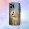 Cute Owl Phone Case  For iPhone17,16,15,14,13,12,11 Plus,Pro Max Soft Black Cover