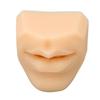 Human Mouth Model Soft Silicone High Simulation Lifelike Lips Model for Jewelry Display