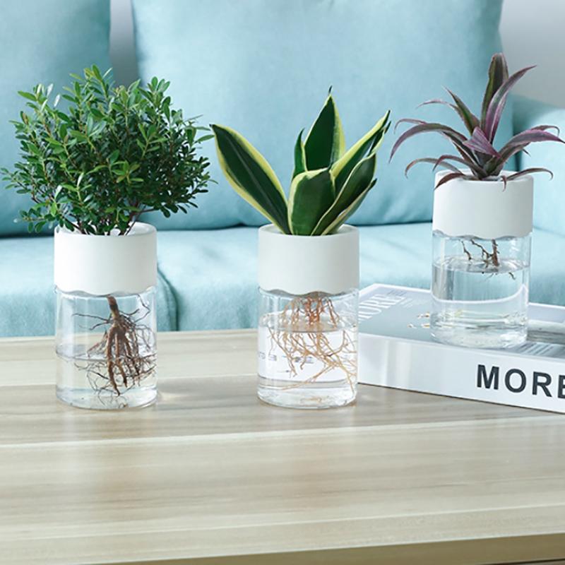 Transparent Round Hydroponic Planter Water Growing Vase Container Plastic Tabletop Plant Bonsai Home Living Room Decoration