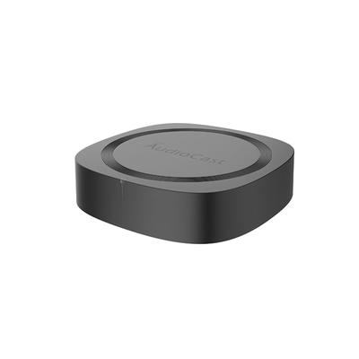 M20 Kabellose Multiroom-Stereo-Musikbox 2,4 GHz WLAN BT 5.0 Audio-Lautsprecher mit Fernbedienung