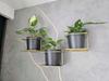 Jungle 5 Wall Flower Stand Metal Horizontal Holder for 3 Pots Gold Modern Flower Hanger