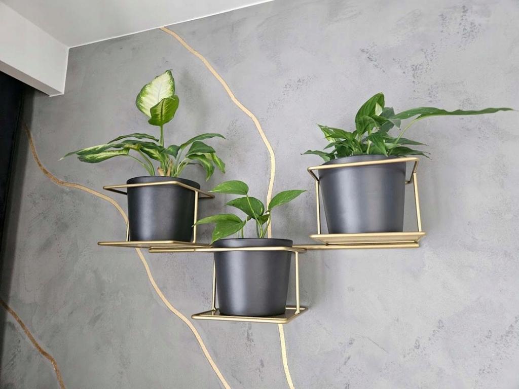 Jungle 5 Wall Flower Stand Metal Horizontal Holder for 3 Pots Gold Modern Flower Hanger
