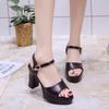 Sandals Women's Summer High Heel Thick Heel Thick Sole Waterproof Table Sexy New Buckle with Fish Mouth Muffin Women's Shoes