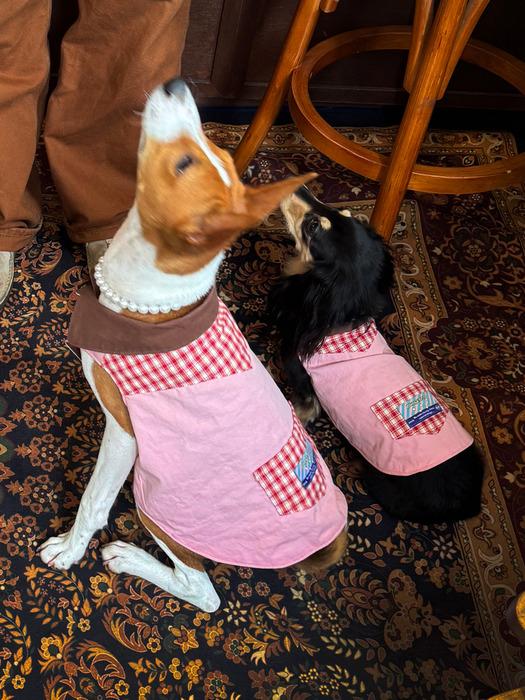 BURGERPIN BGP Reversible Dog Jacket M Reversible Dog Jacket