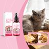 Pisici – Produse pentru îngrijirea pisicilor