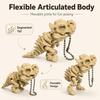 1Pc Articulated Dinosaur Skeleton Decor Movable Joints Durable Ornament for Desktop Living Room Shelf Dino Enthusiasts Gift