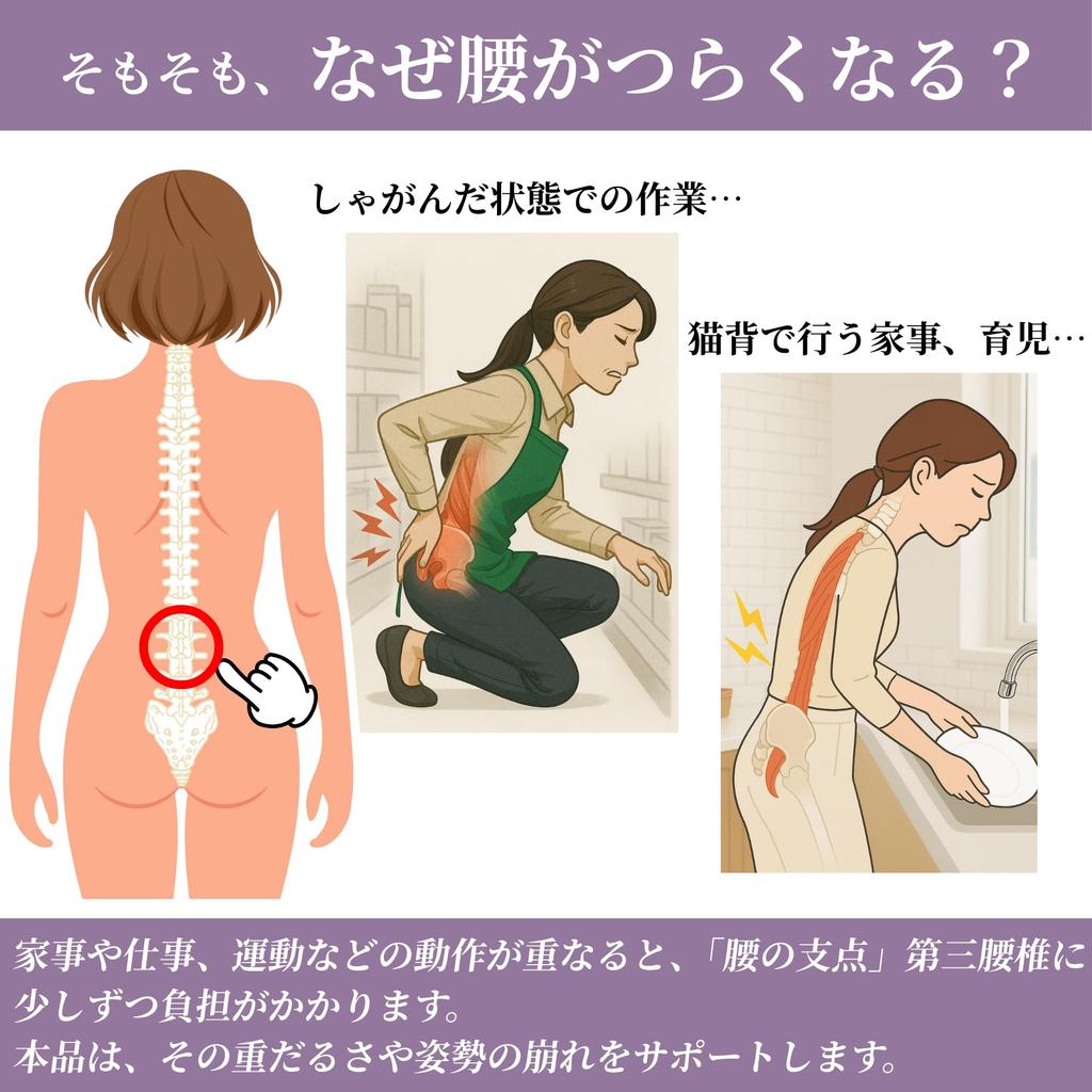 Rakucore Waist Thin Pelvic Support for Standing and Desk Work Thinnest Design That Show Through Clothing Sizes Support, Housework, Childcare, Work,