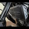 Motorcycle Radiator Grille Guard Protector Cover Accessories For HIMALAYAN 450 Himalayan 450 Himalayan452 2024 2025