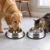 Anti-tip Pet Bowl Rustproof Pet Drinking Bowl Durable Use Cat Food Bowl  Pet Rest Area