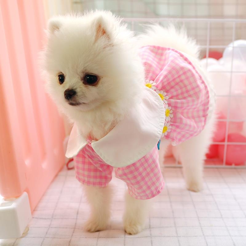 pomeranian clothes size