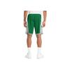 Nike NBA Boston Celtics Swingman City Edition Dri-Fit Shorts Green Men Streetwear DB4127-312