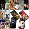 Telefon kapları – Smartphone Bumper Kılıflar