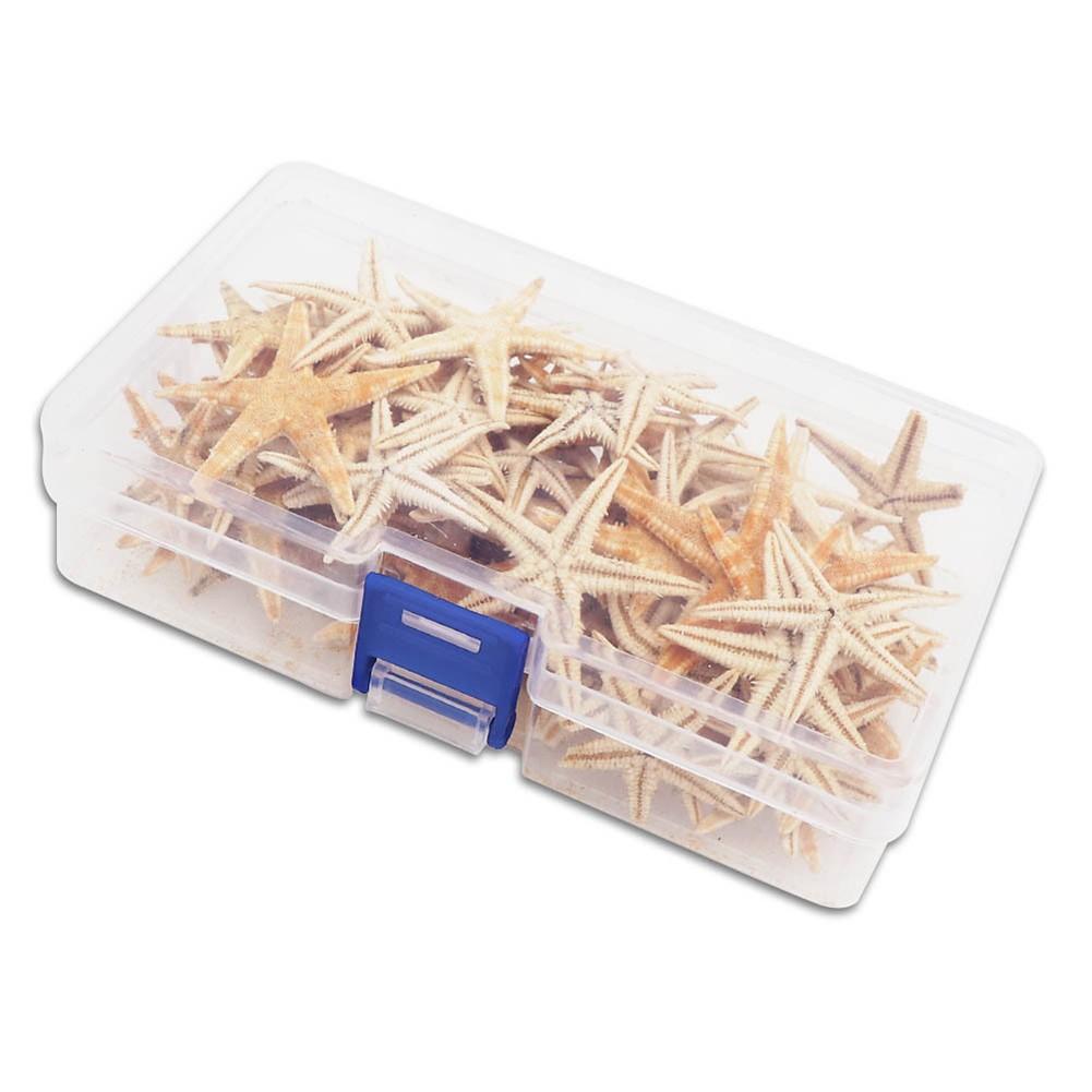 

Natural Starfish Craft Starfish Fish Tank Decoration Natural Material 50pcs（2-3cm）