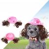 Pet Wig Dog Cat Wig Pet Supplies Halloween Pet Accessories Hat
