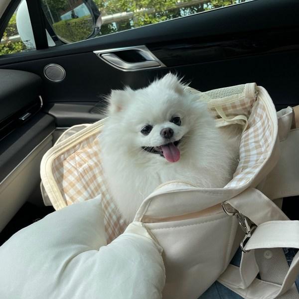 Eco Pet With Dog Slingback Set, Korean Pet Shampoo