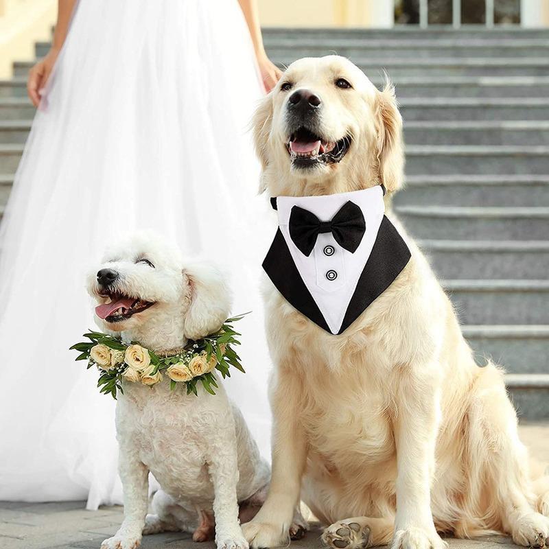 1 Stück Verstellbares Hunde-Tuxedo-Bandana-Halsband mit Fliege Schal Schwarz Haustier Hochzeit Formelles Kostüm für Welpen